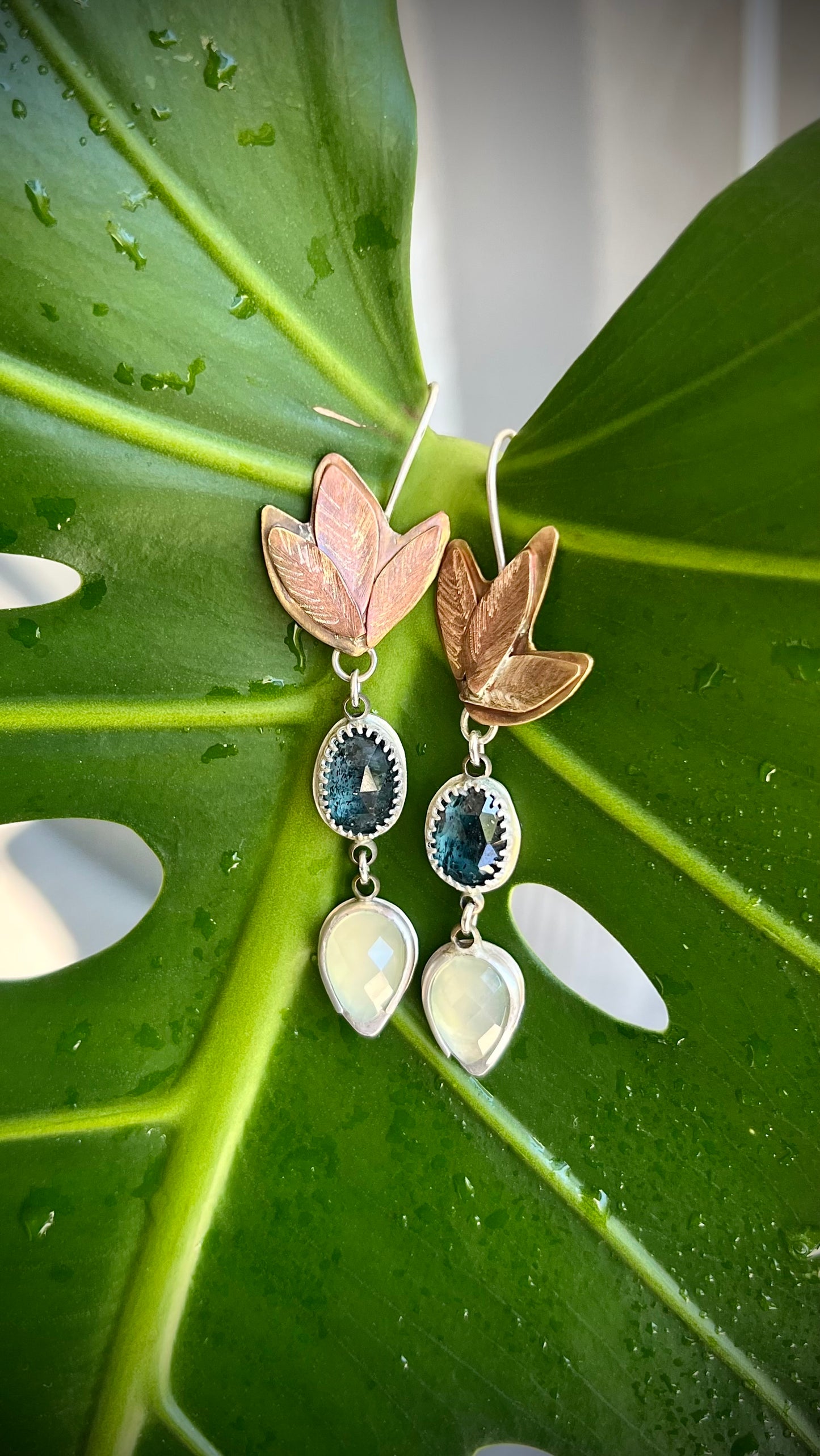 Agave